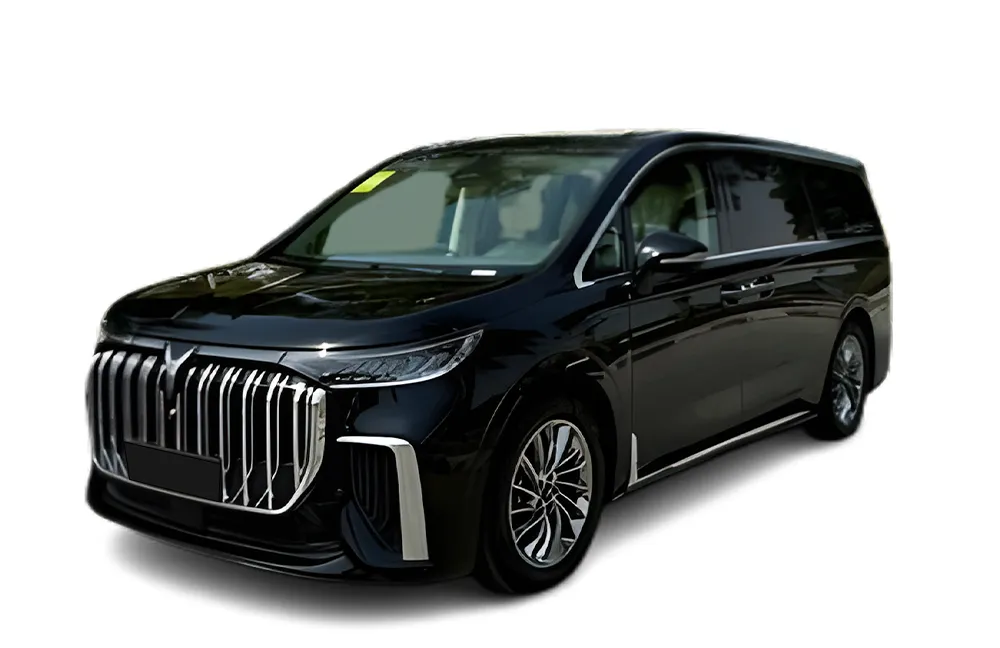 Voyah Dreamer (Black), 2024